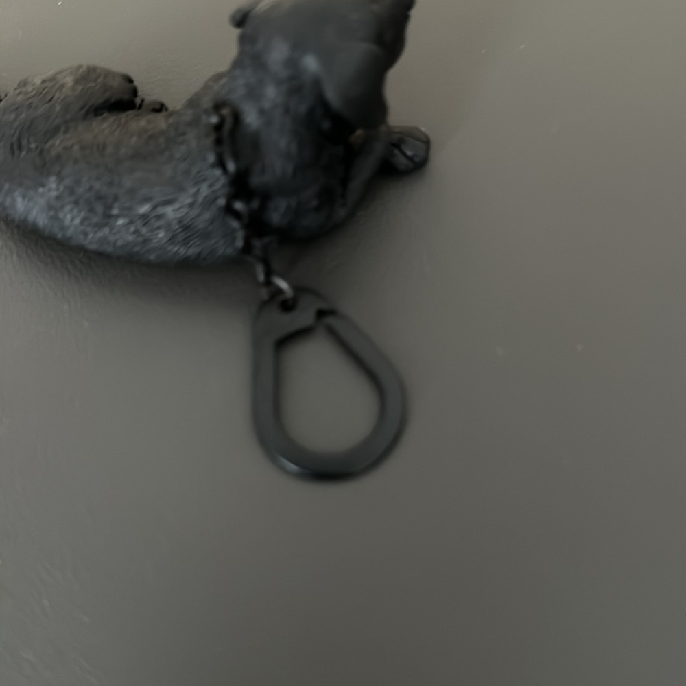Lab Keychain - Picture 4 of 5